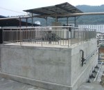 como conferir um da bet sporting pela internet