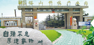 como assistir aos jogos no site do sporting bet