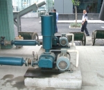 como apostar na bets.net sem dinheir